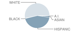 Hood River Valley High School Student Race Distribution