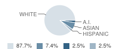 Huntington School Student Race Distribution