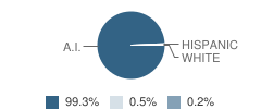 Warm Springs Elementary School Student Race Distribution