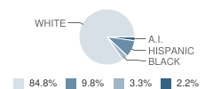 Mckenzie Elementary School Student Race Distribution