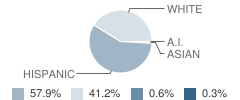 Nyssa High School Student Race Distribution