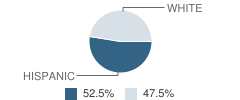 Cairo Elementary School Student Race Distribution