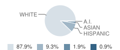 Halfway Elementary School Student Race Distribution