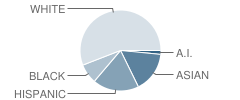 Hosford Middle School Student Race Distribution