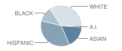 Hauton B Lee Middle School Student Race Distribution