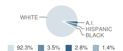 Evans Valley Elementary School Student Race Distribution