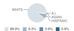 Optimum Learning Environment Charter School Student Race Distribution