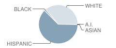 Mcnary Heights Elementary School Student Race Distribution