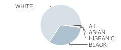 Propel Charter School-East Student Race Distribution