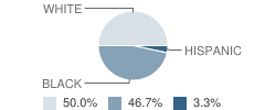 Danville Center Adolescent Female School Student Race Distribution