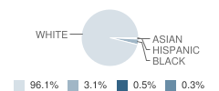 Albert Gallatin South Middle School Student Race Distribution