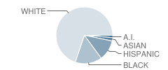 Buchanan Elementary School Student Race Distribution