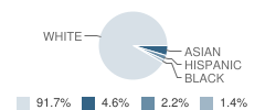 Holicong Middle School Student Race Distribution