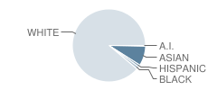 Newtown Middle School Student Race Distribution