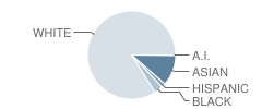 Good Hope Middle School Student Race Distribution