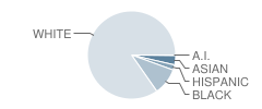 Kerr Elementary School Student Race Distribution