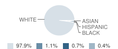 Ross Elementary School Student Race Distribution