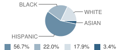 Hamilton Elementary School Student Race Distribution