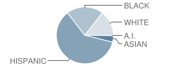 Lincoln Middle School Student Race Distribution