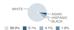 Amosland Elementary School Student Race Distribution