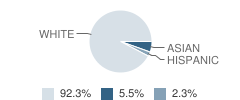 Ferguson Township (Twp) Elementary School Student Race Distribution