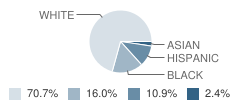 Loucks Elementary School Student Race Distribution