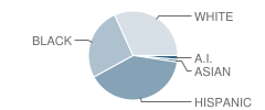 Metropolitan Regional Career & Technical Center School Student Race Distribution