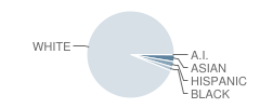 Washington Oak School Student Race Distribution