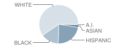 Marieville Elementary School Student Race Distribution