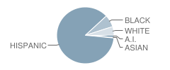 Laurel Hill Avenue Annex School Student Race Distribution