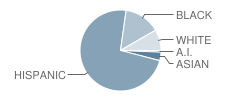 Carl G. Lauro Elementary School Student Race Distribution