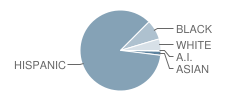 Laurel Hill Avenue School Student Race Distribution