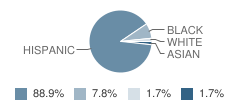 Alfred Lima, Sr. Elementary Annex School Student Race Distribution