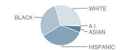 Robert F. Kennedy Elementary School Student Race Distribution