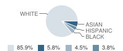 Harold F. Scott School Student Race Distribution