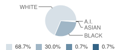 Midland Valley Preparatory School Student Race Distribution