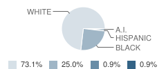 Discovery School of Lancaster Student Race Distribution