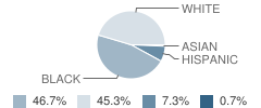 M S Bailey Elementary School Student Race Distribution