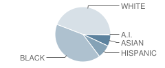 R P Dawkins Middle School Student Race Distribution