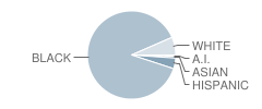 Cleveland Elementary School Student Race Distribution