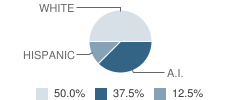 Our Home Rediscovery - 77 School Student Race Distribution