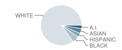 Rosa Parks Elementary - 15 School Student Race Distribution