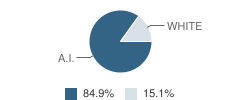 Interior Elementary - 09 School Student Race Distribution