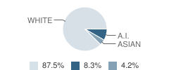 Midland Elementary - 11 School Student Race Distribution