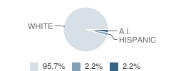 Irene - Wakonda Junior High - 04 School Student Race Distribution