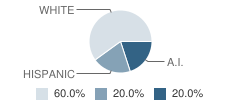 School for Deaf Elementary Student Race Distribution