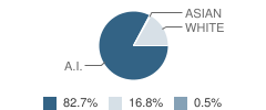 Dupree Elementary School Student Race Distribution