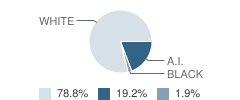 Jones County Jr High School Student Race Distribution