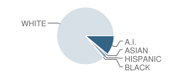 Hot Springs High School Student Race Distribution