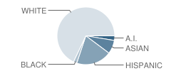 Jefferson Elementary School Student Race Distribution